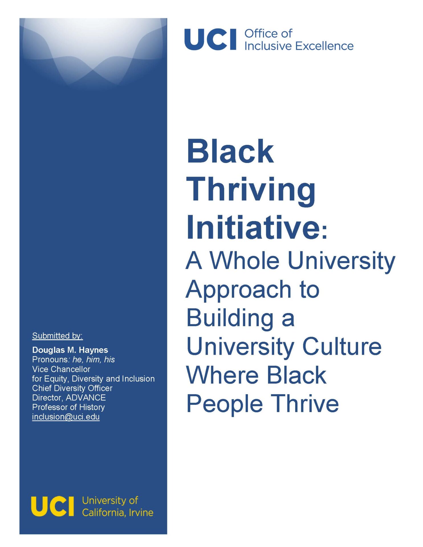 Black Thriving Initiative Report