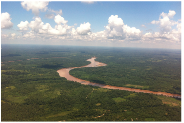 Amazon forest and river