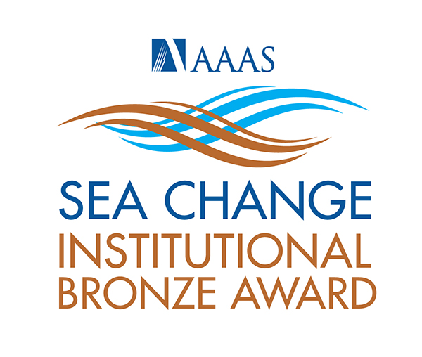 SEA Change Bronze Award